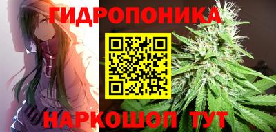каннабис Аша