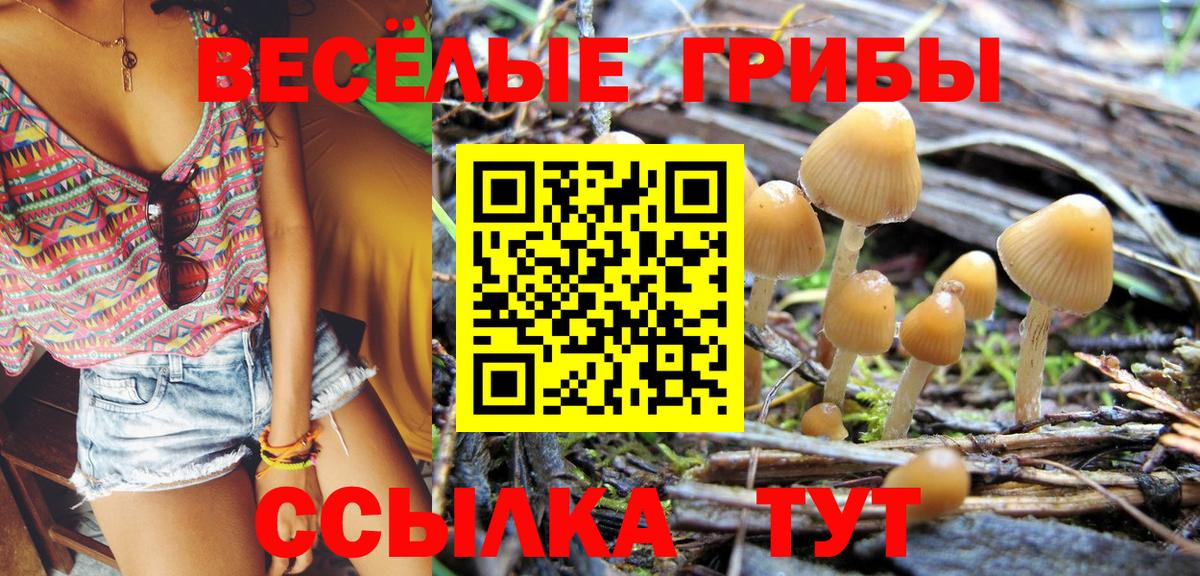 Алатырь  Галлюциногенные грибы MAGIC MUSHROOMS  Вход с VPN 