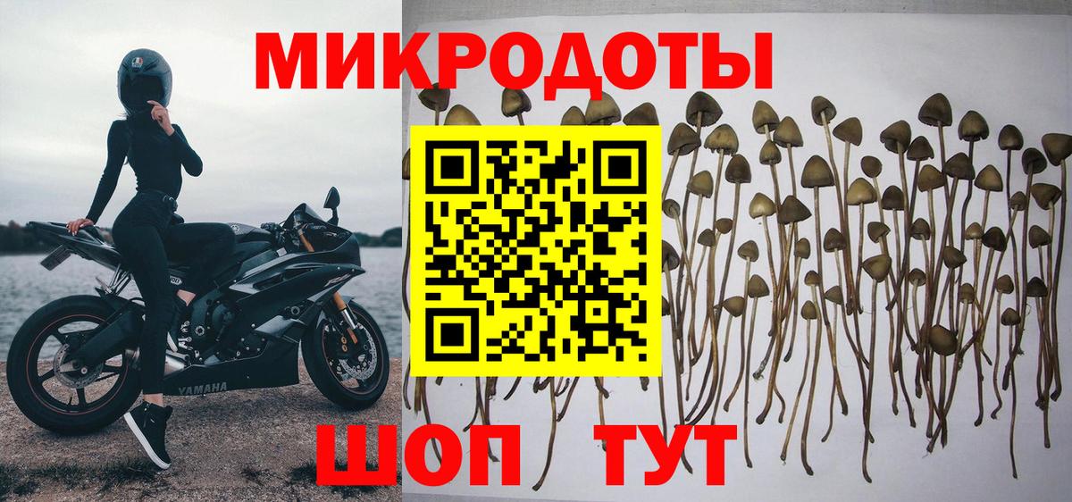 Галлюциногенные грибы ЛСД Алатырь