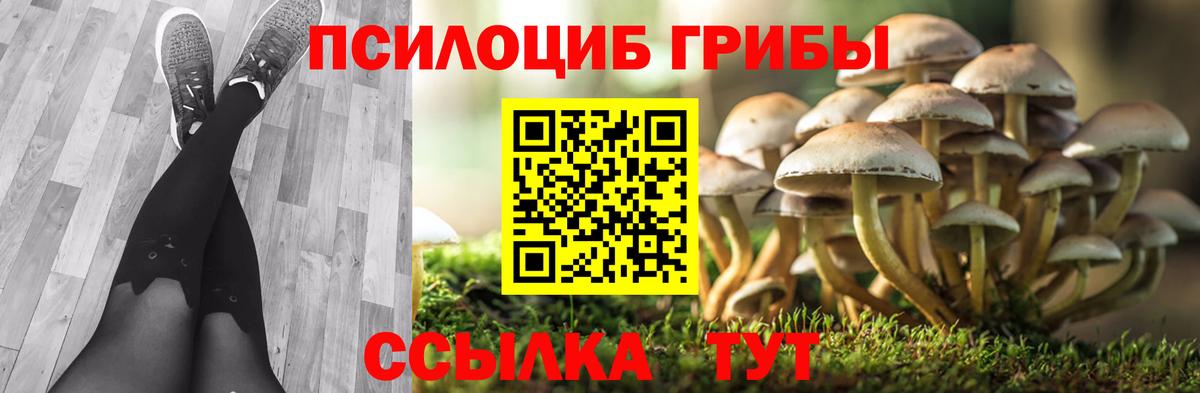 Бошки Шишки Алатырь
