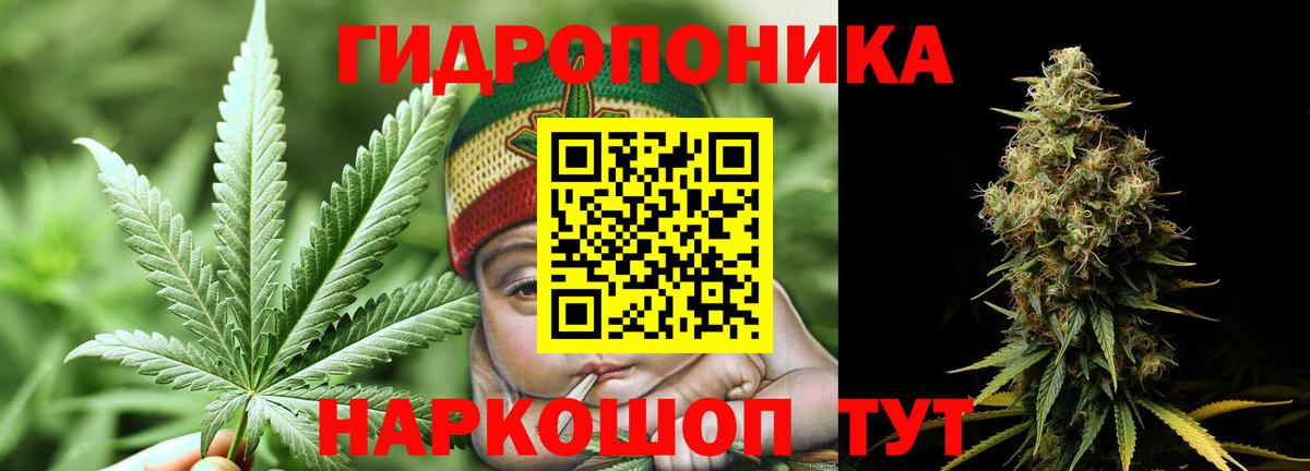 Марихуана гибрид Алатырь